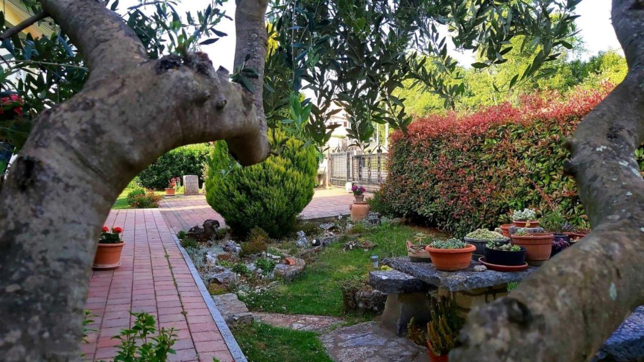 Apartment Green Oasis 1 Umag Exterior foto